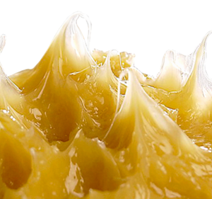 GREASES